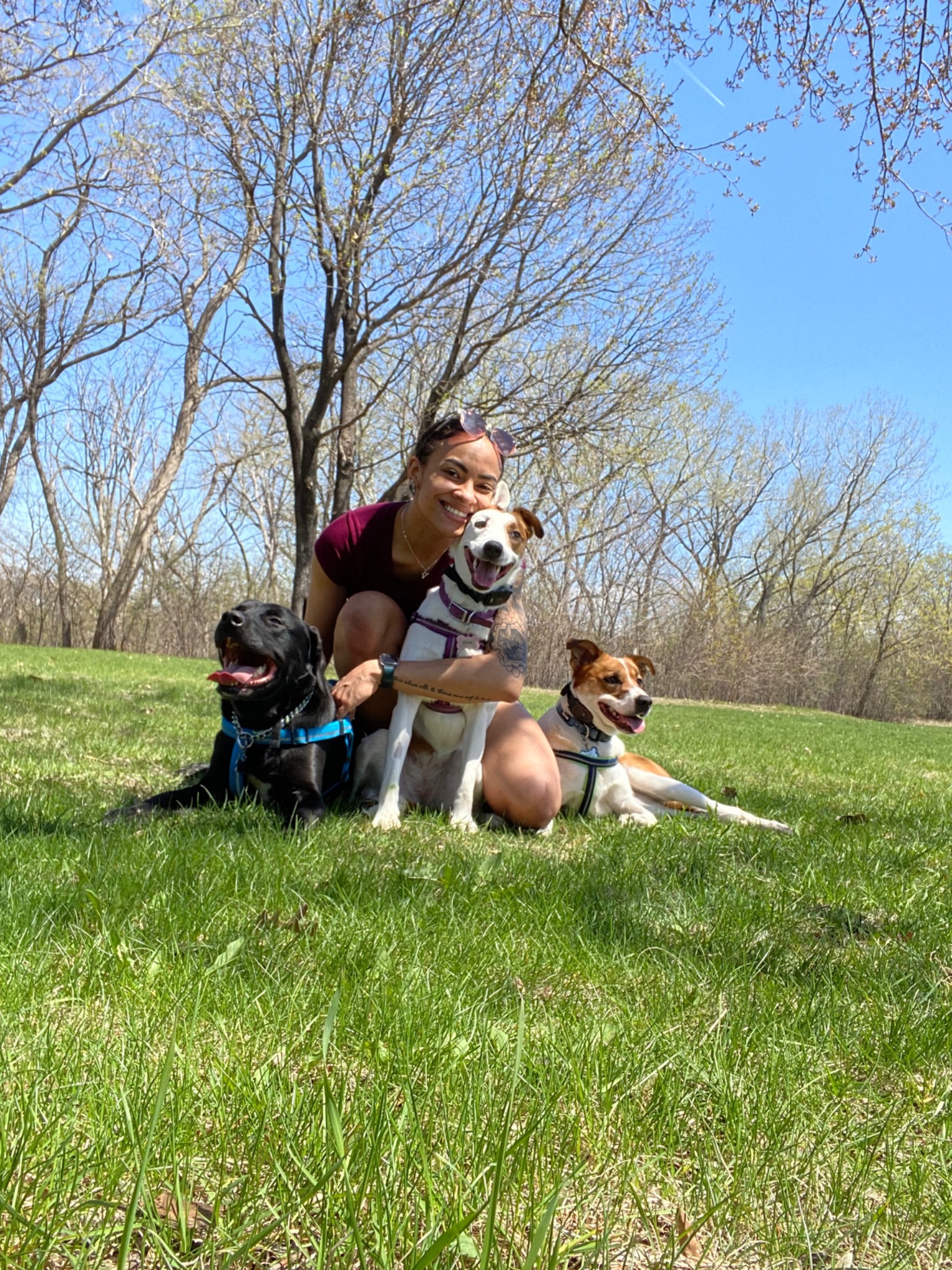 Founder with dogs outdoors