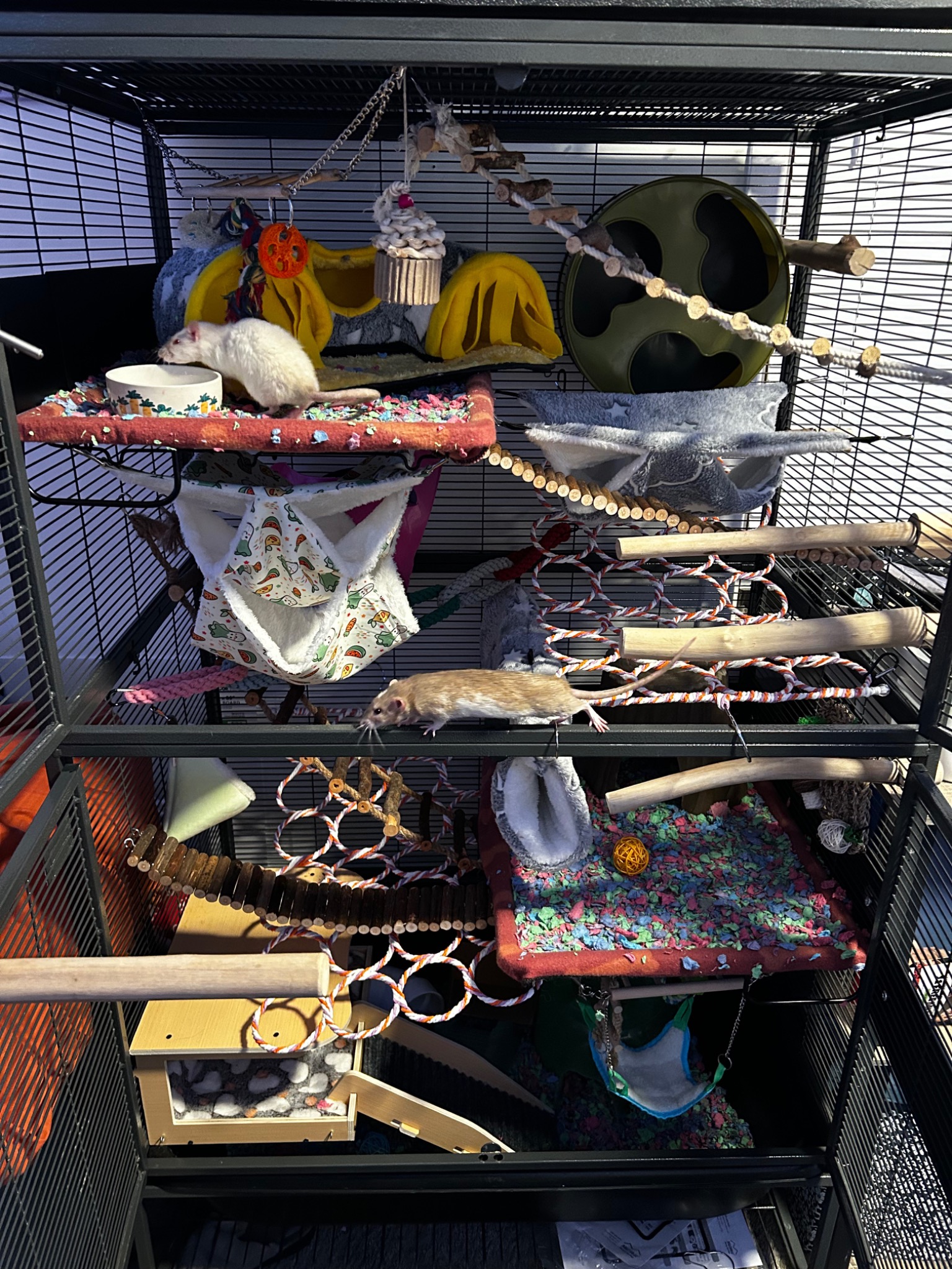 Enriched small-animal habitat